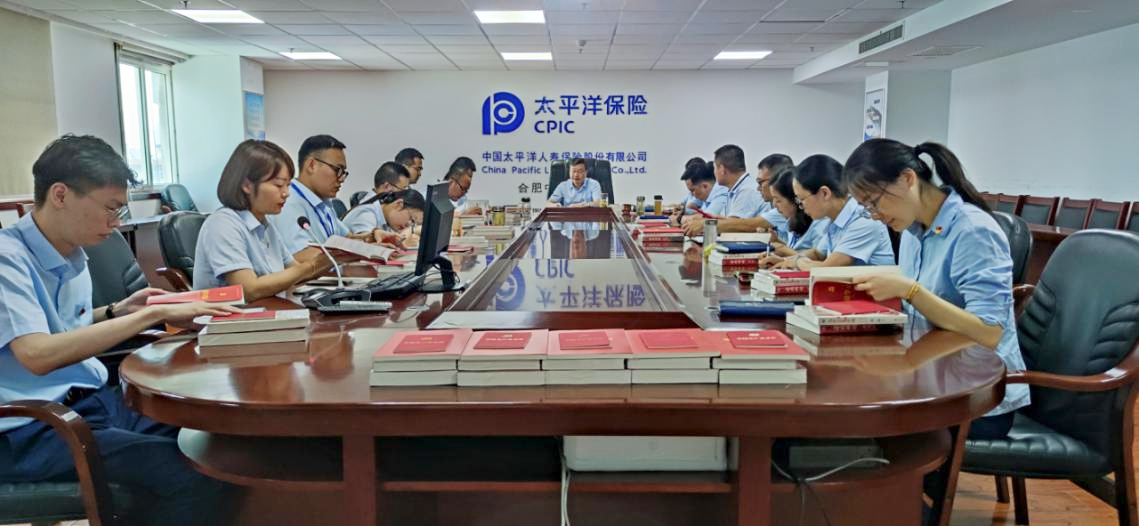 中国太保寿险合肥中心支公司党支部开展“学习党史强信念  长航发展创辉煌”主题党日活动