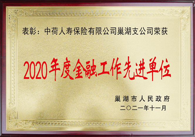 中荷人寿保险有限公司巢湖支公司荣获 2020年度巢湖市“金融工作先进单位”荣誉称号