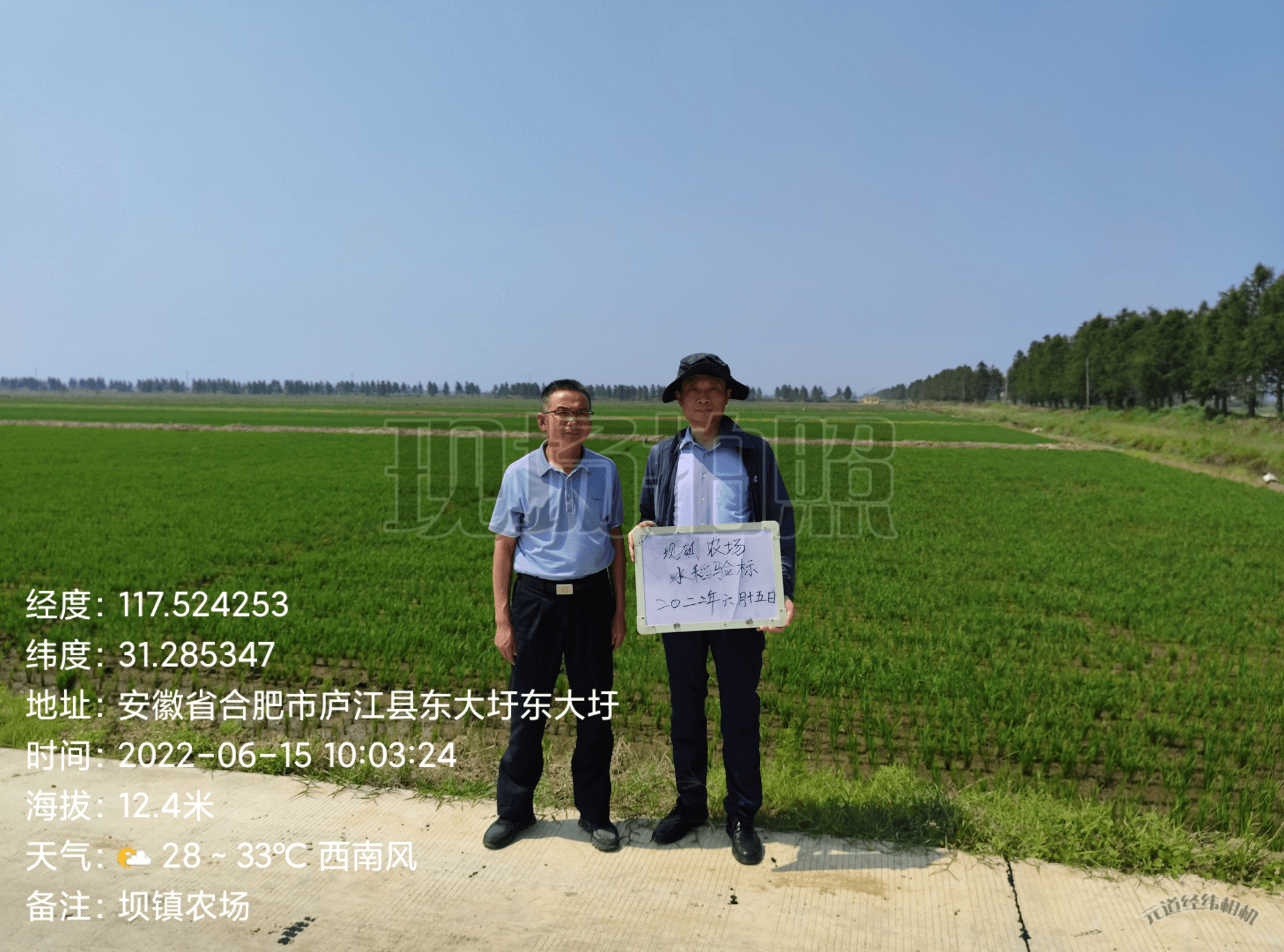 国元保险庐江支公司完成安徽省白湖农业发展有限公司水稻完全成本保险承保工作