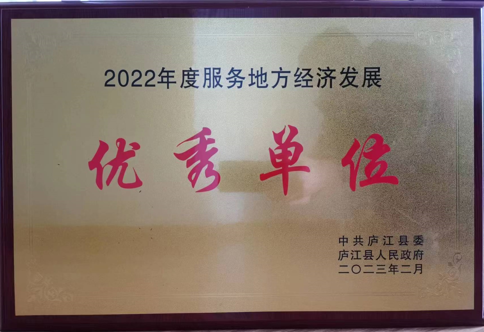 国元保险庐江支公司荣获“2022年度服务地方经济发展优秀单位”