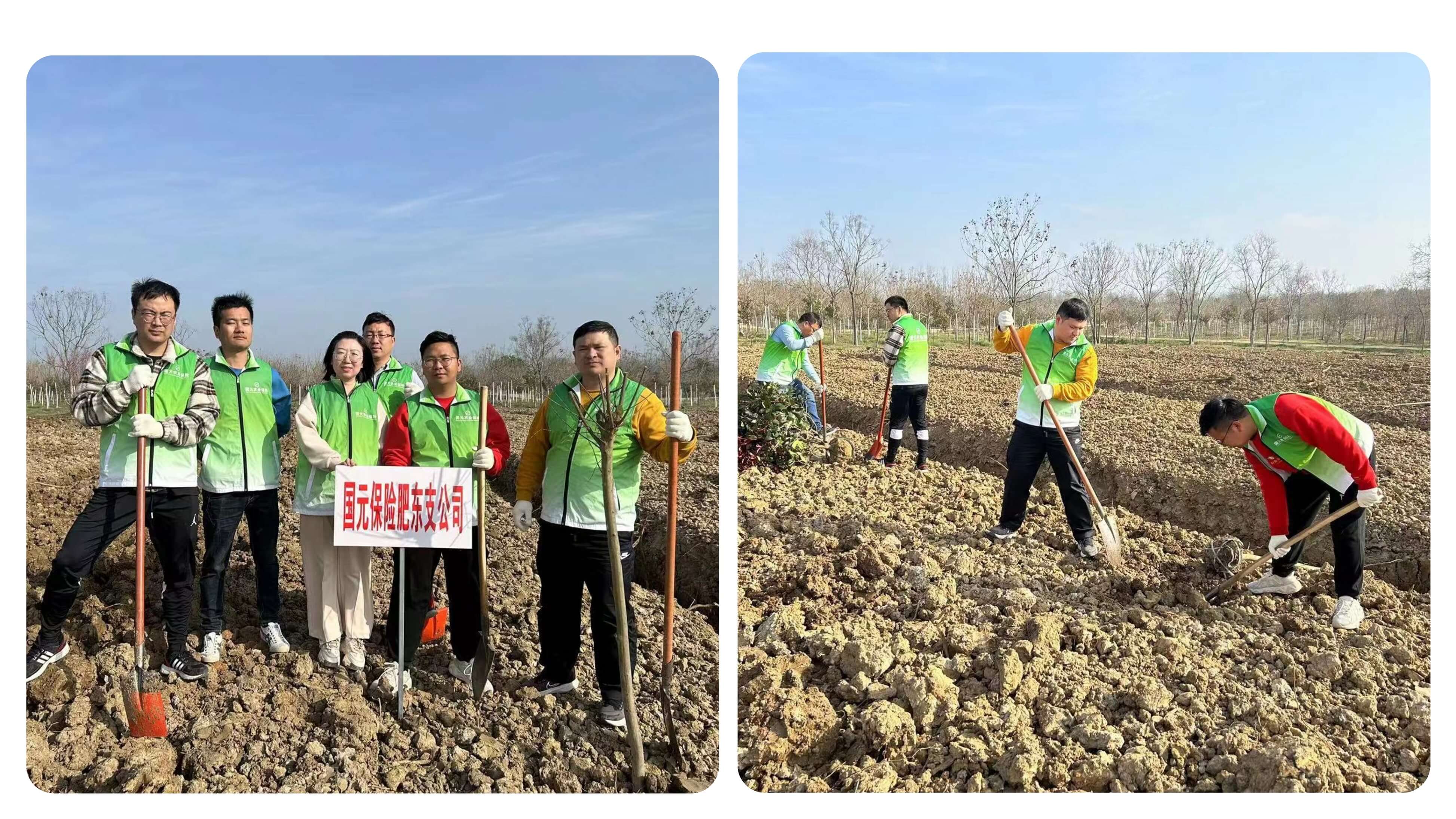 国元保险合肥中支各机构组织开展植树节活动