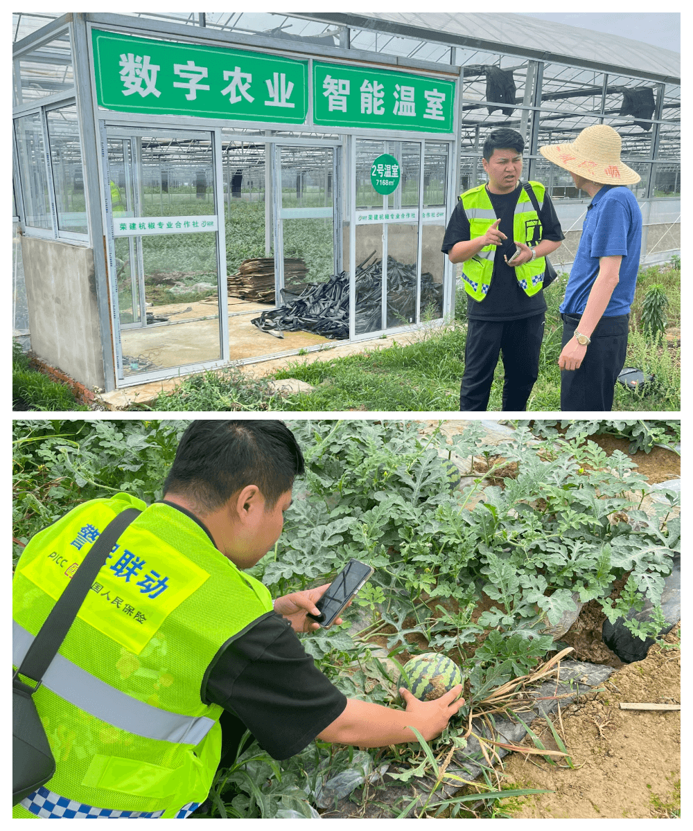 合肥人保财险：暴雨来袭 农险查勘忙