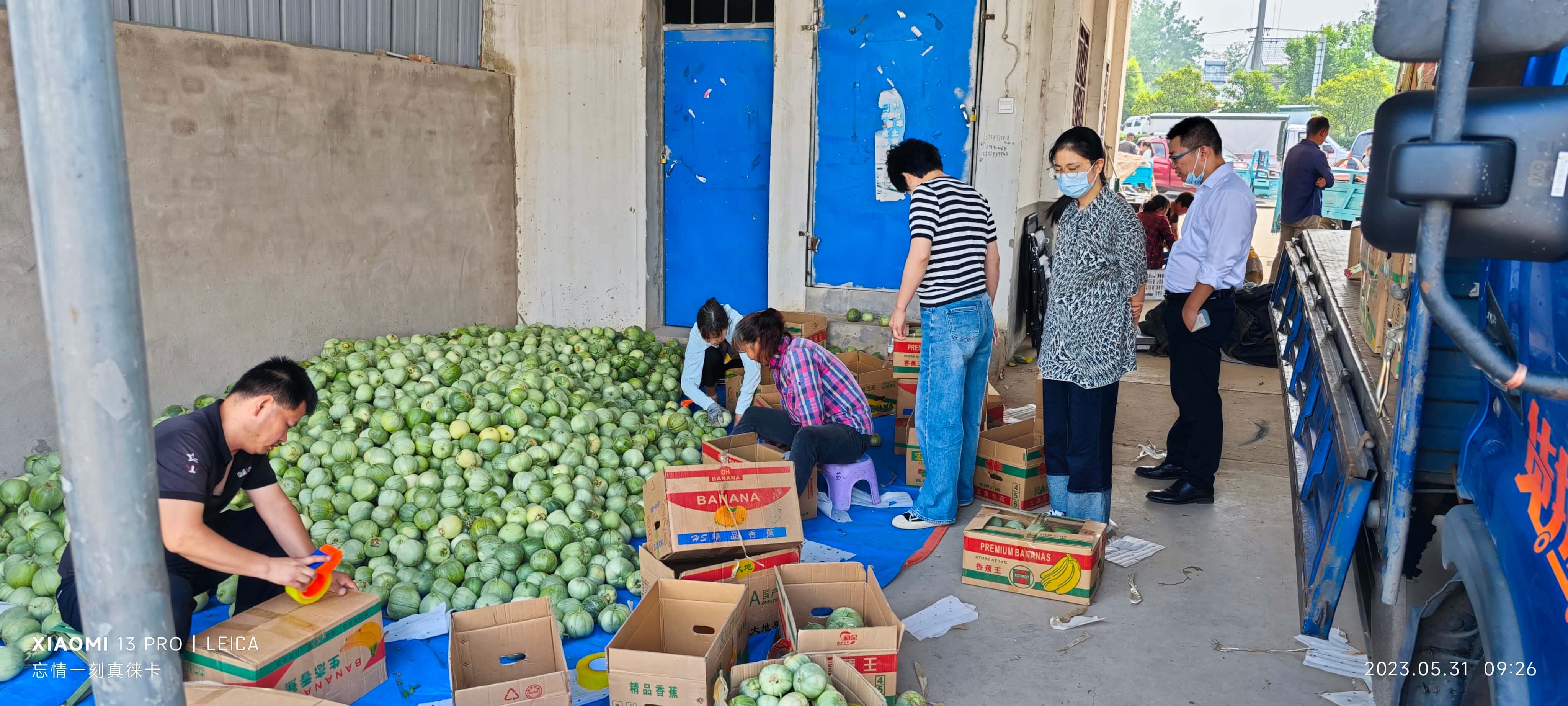“合肥平安”助农在行动