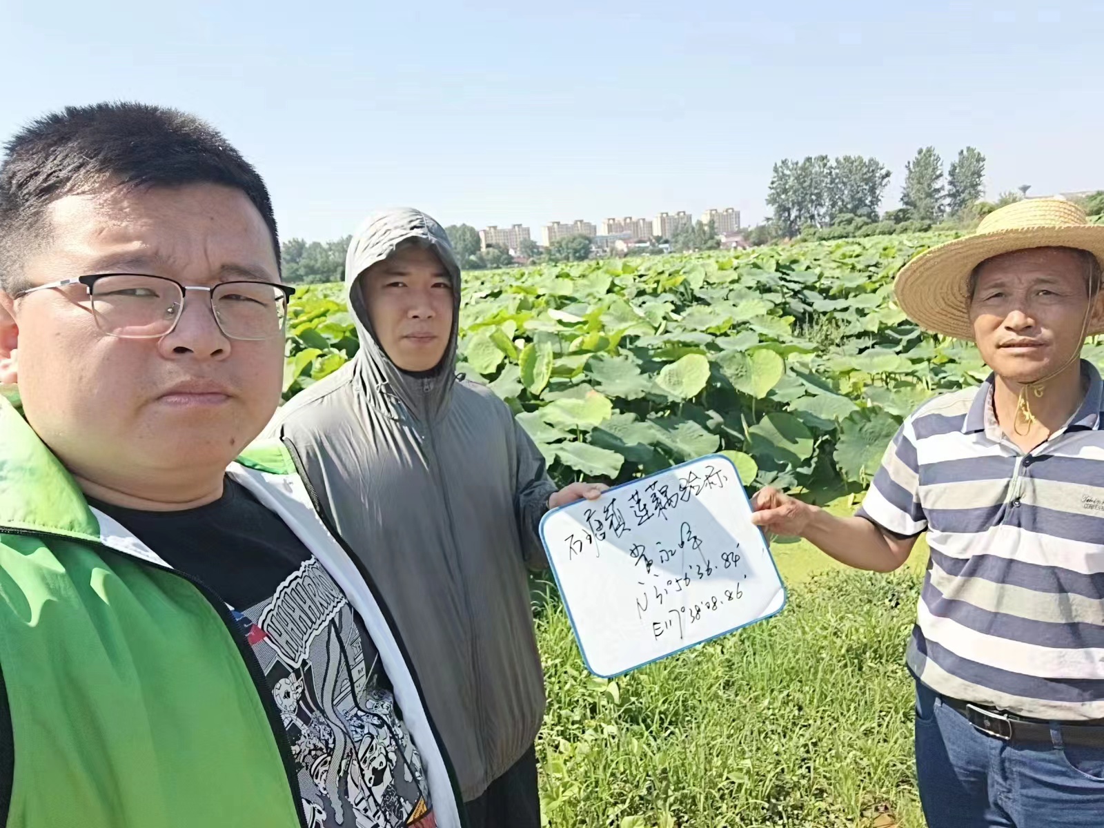 国元保险肥东支公司：莲藕种植保险为农户“遮风挡雨”