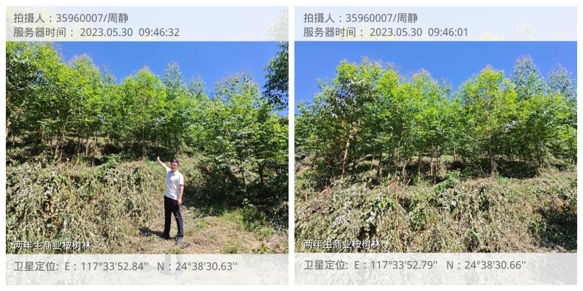 阳光财险持续推进绿色保险 助力“双碳”战略转型发展