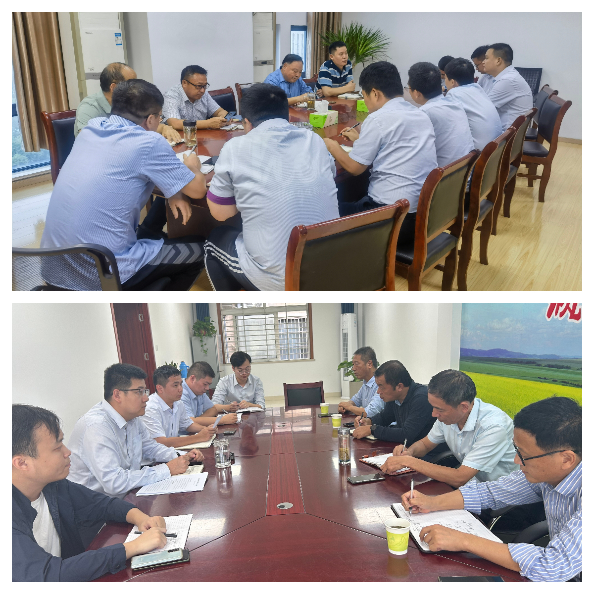 国元保险合肥中支组织召开2023年秋季作物生产形势分析会商会