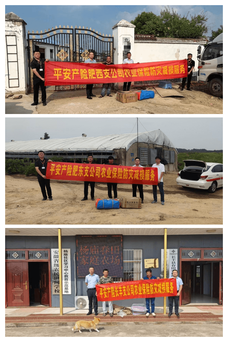 平安产险助力合肥县区种植大户防灾减灾